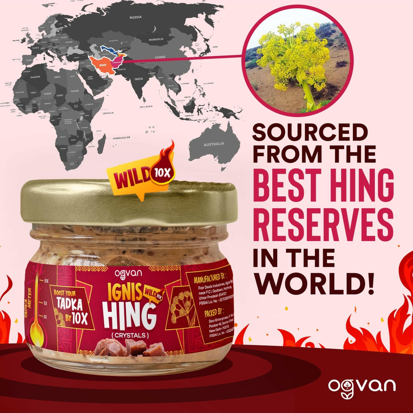 Ignis Wild 100% Pure Hing Granules 10g.