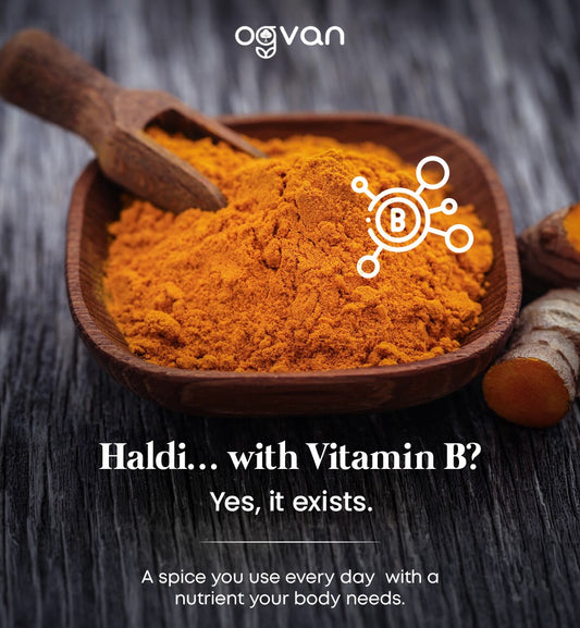 Ogvan Haldi Powder with natural Vitamin B – lab-tested, nutrient-dense pure Manipur turmeric