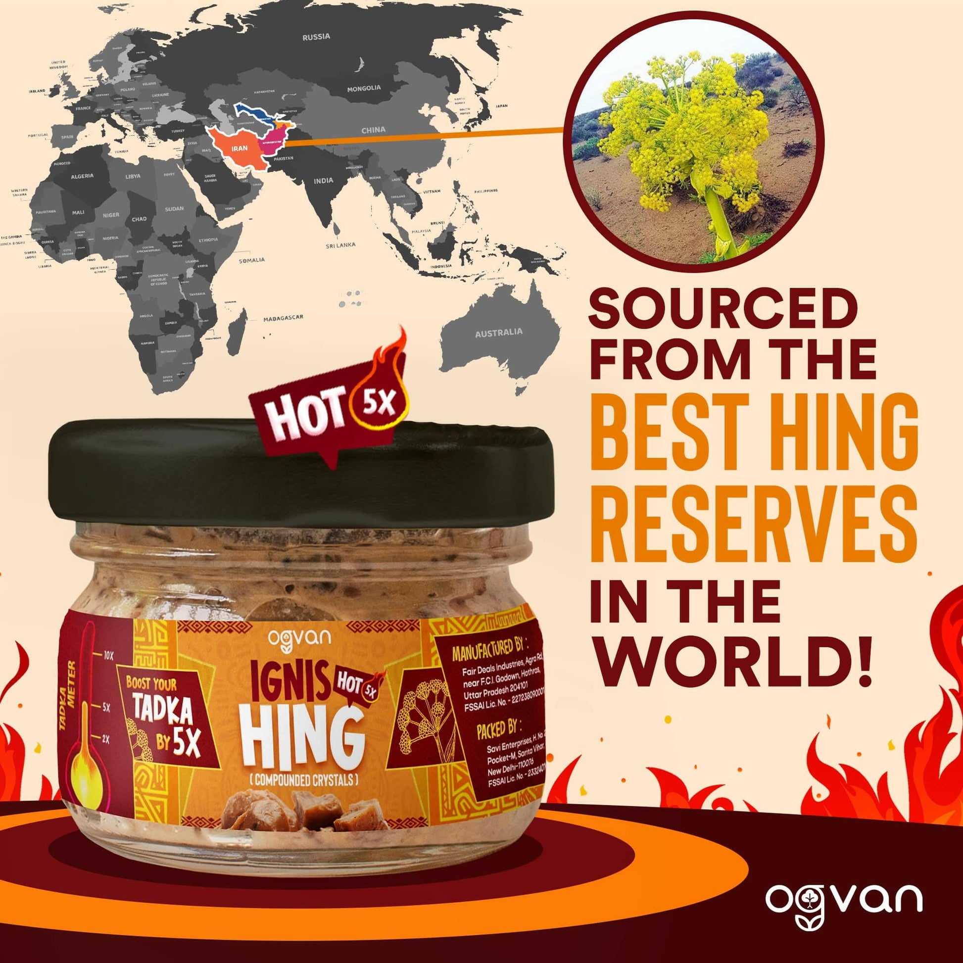 Ogvan Ignis Hot Hing Crystals sourced from Afghanistan and Iran, the world's richest hing reserves.