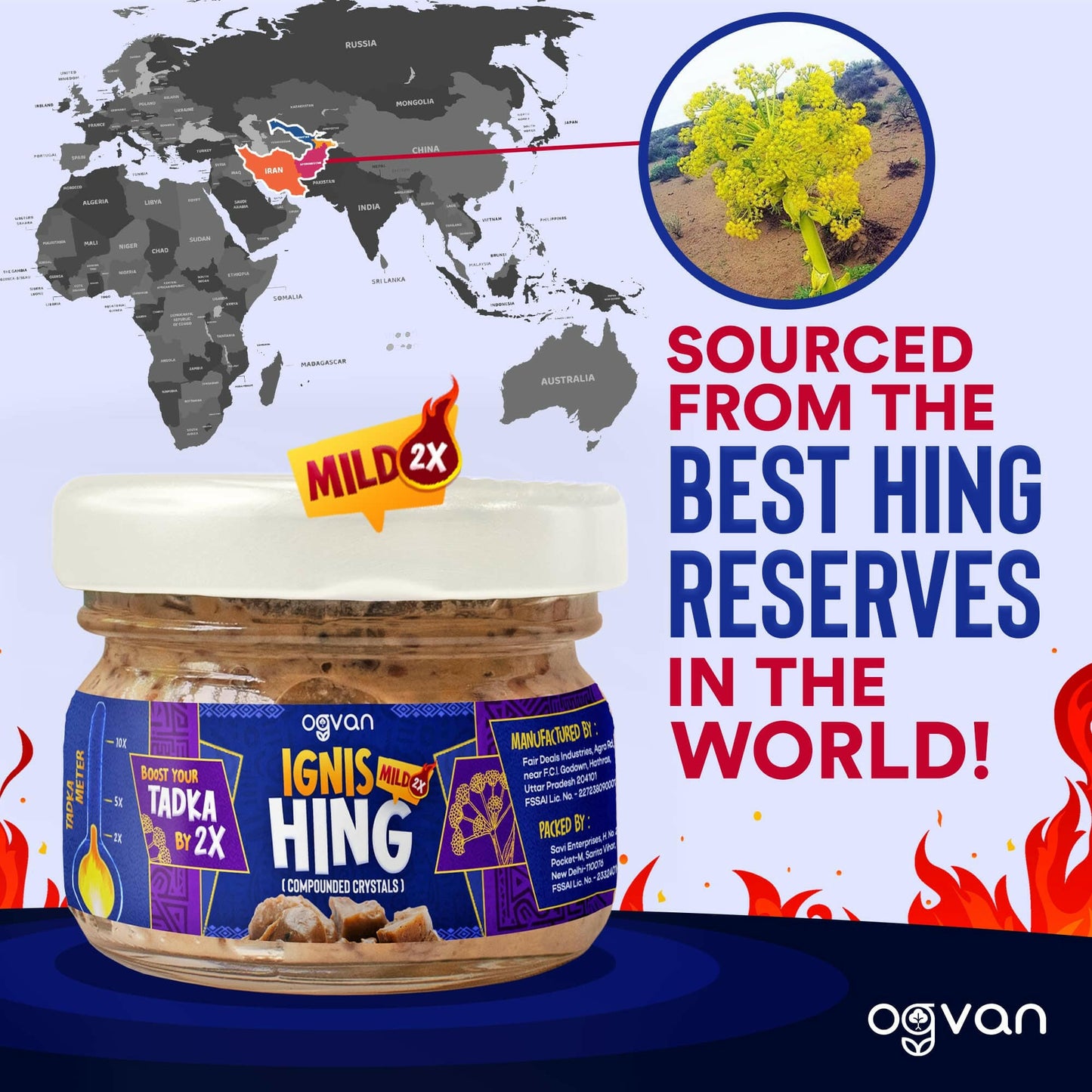 Ogvan Ignis Mild Hing Powder – sourced from Afghanistan and Iran, the world's richest hing reserves